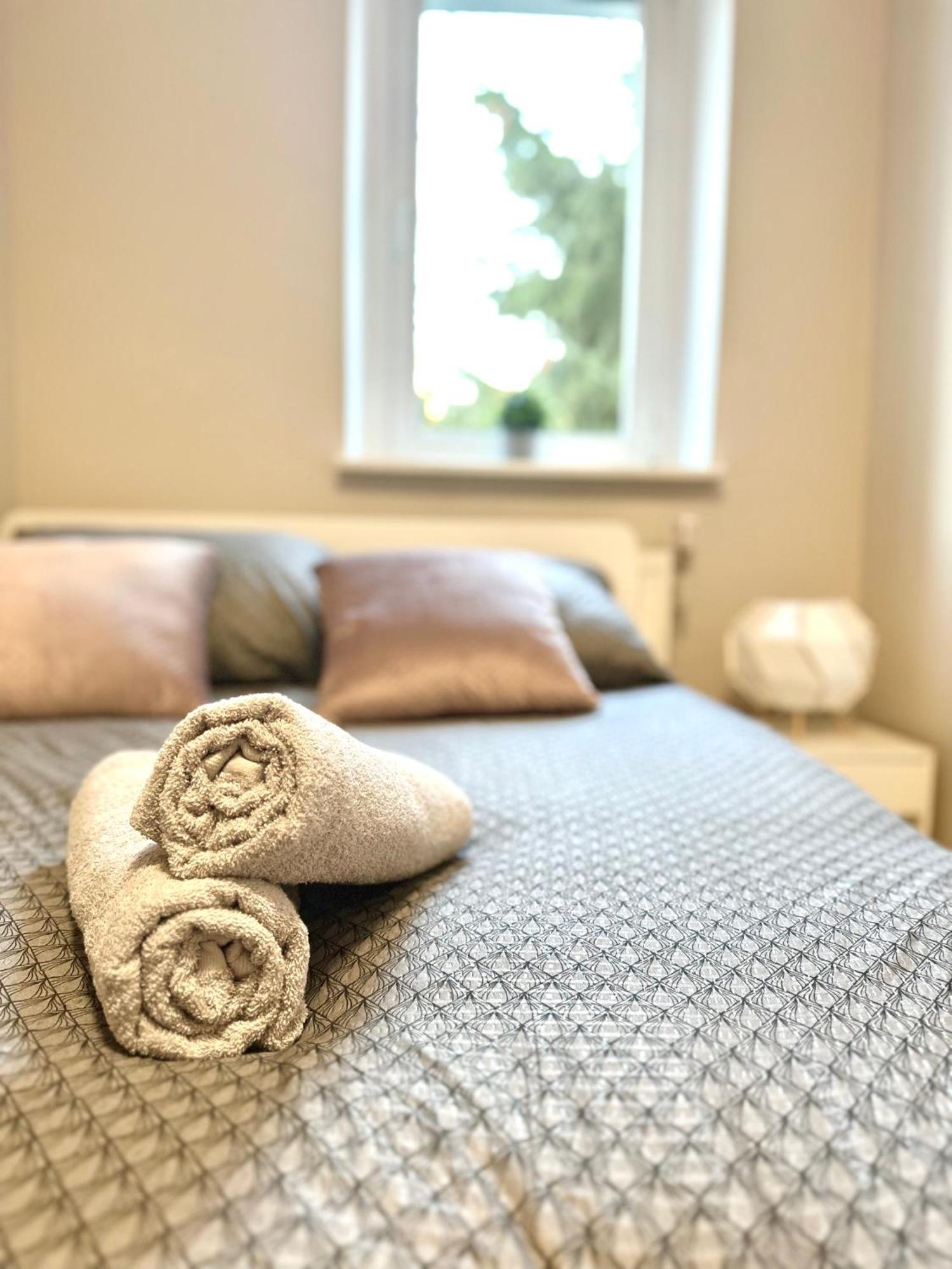 Mmrent Plant Homestay Gdansk